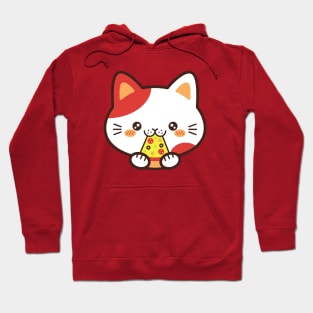 Cat Eating Pizza Hoodie